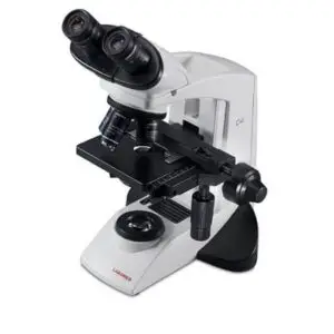 Upright CXL Binocular Educational Microscope